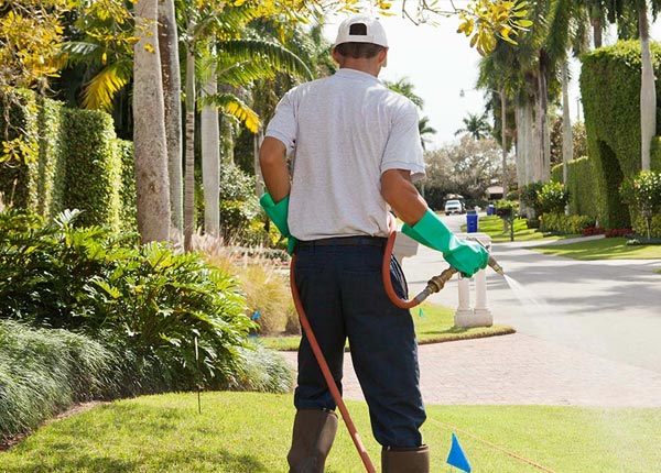About Nisswa MN Pest Control